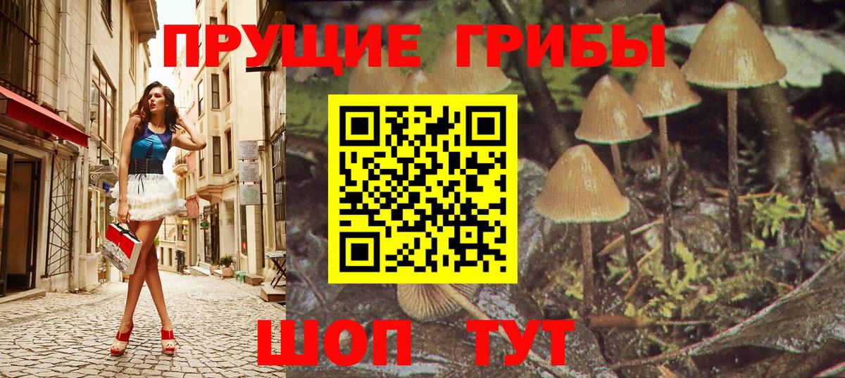 купить   Галлюциногенные грибы GOLDEN TEACHER  Галлюциногенные грибы Magic Shrooms  Вход с VPN  Отрадный 